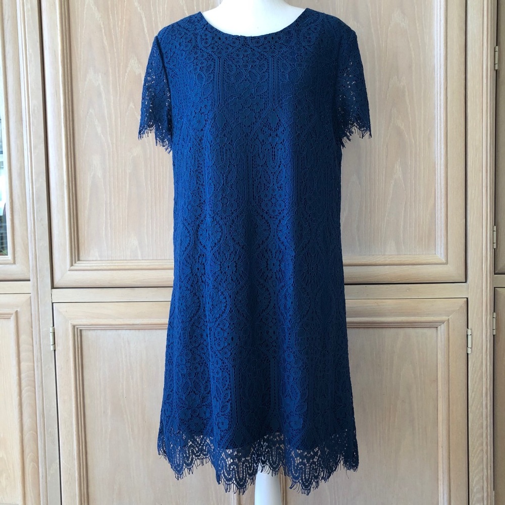 Francescas Blue Lace Dress